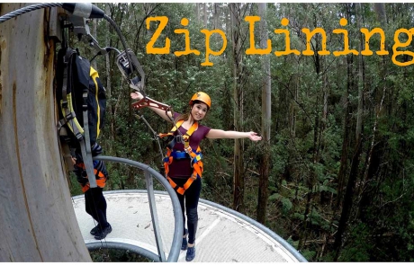zip lining at otway fly