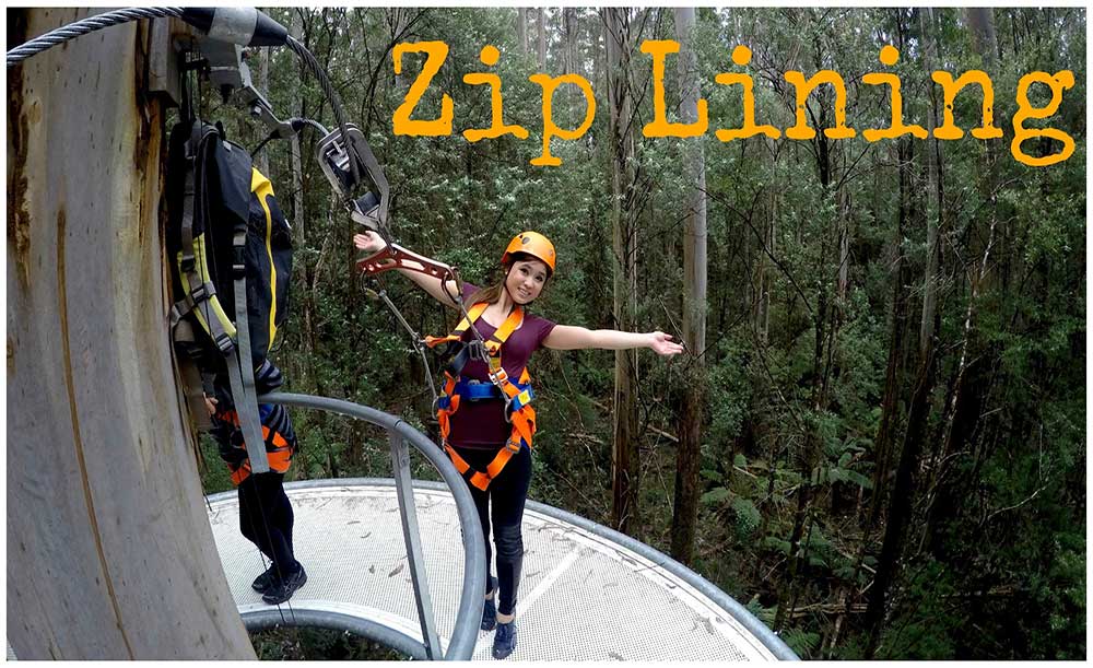zip lining at otway fly